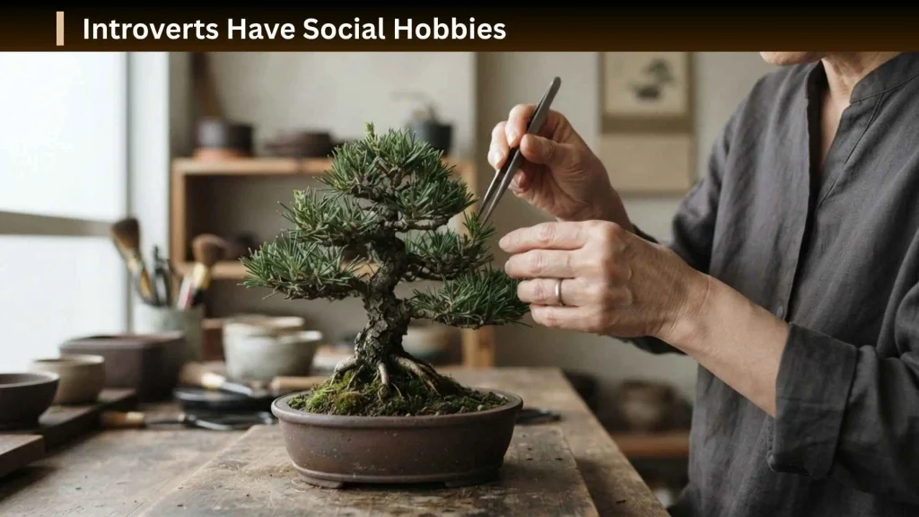 Hobbies for Introverts
