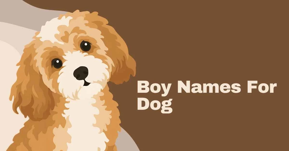 157+ Boy Names for Dog Companions: Cute, Cool, Unique, and Meaningful Ideas